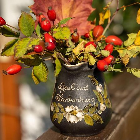 Ferienobjekte Familie Beck Apartment Blankenburg  Luaran gambar
